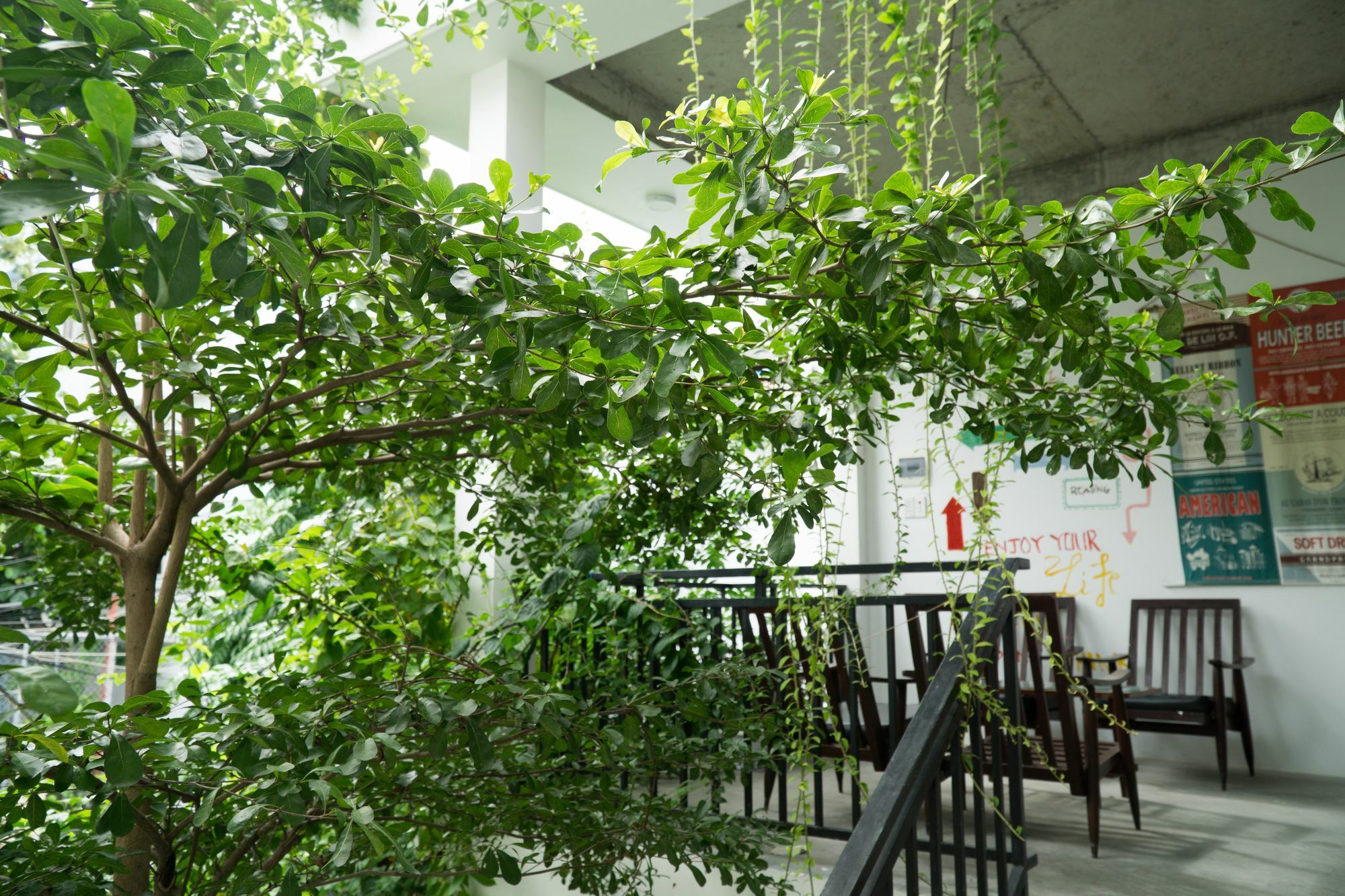 Kiu House - 3Br - Green & Artistic Đà Nẵng Extérieur photo
