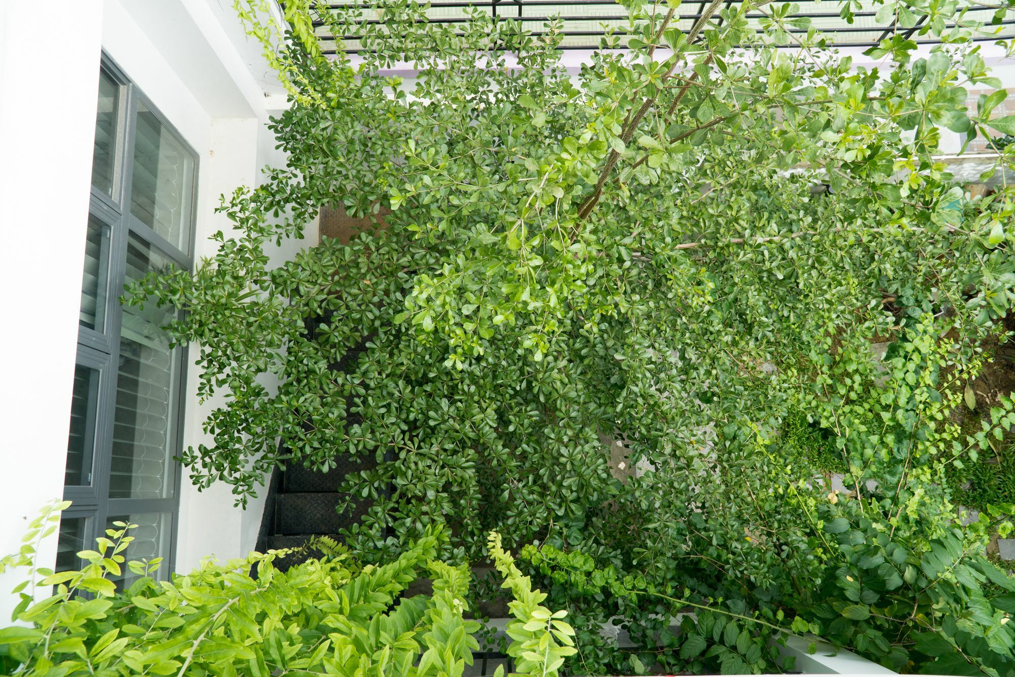 Kiu House - 3Br - Green & Artistic Đà Nẵng Extérieur photo